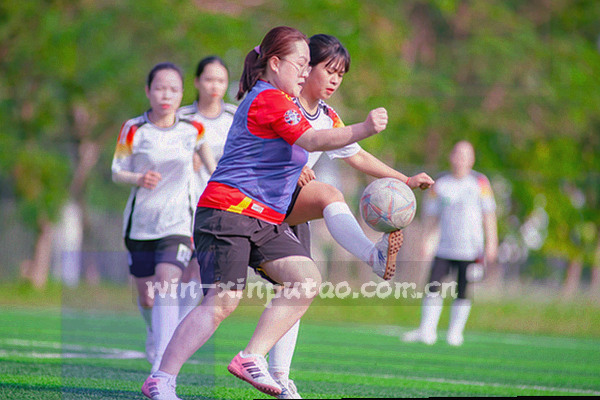 桌面端界面更新内容的抽象几何示意